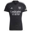 Maillot de Gardien Arsenal 2023-24 Domicile Pour Homme